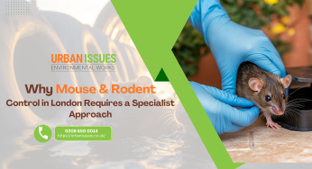pest control company london