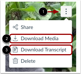 transcript for youtube videos